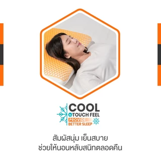 [ฟรี ปลอกหมอน] ERGOTREND หมอนเพื่อสุขภาพ Hexpert 3D Honeycomb grid ERGONOMIC PILLOW