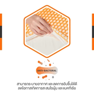 [ฟรี ปลอกหมอน] ERGOTREND หมอนเพื่อสุขภาพ Hexpert 3D Honeycomb grid ERGONOMIC PILLOW