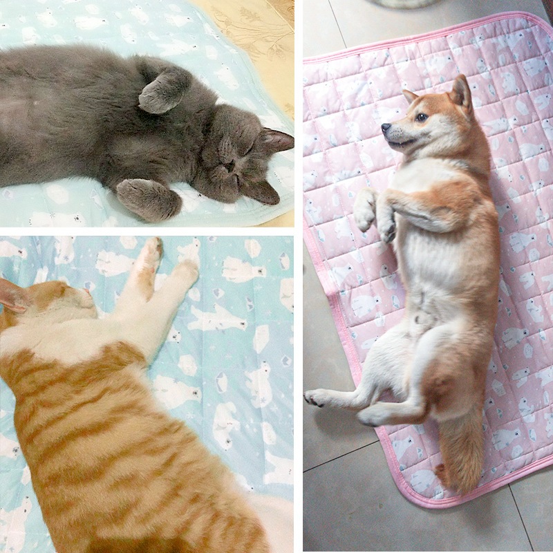 🌈Pet Coolmat แผ่นนาโน ที่นอนเย็น ไม่แอร์ก็เย็น ที่นอนสัตว์เลี้ยง เบาะนอนเย็น ที่นอนสุนัข แผ่นเย็นแมว