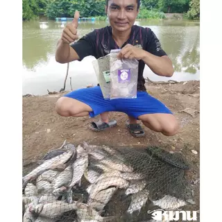 เหยื่อตกปลา เหยื่อหมาน สูตรปลารวม ชุด 5 ถุง 2.2 กก. ปลาเข้าไว ปั้นง่าย