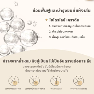 yoyopet : Aloe Vera Pet Wipesทิชชู่เปียกสำหรับสัตว์เลี้ยง กลิ่นว่านหางจระเข้ เพิ่มความชุ่มชื้น