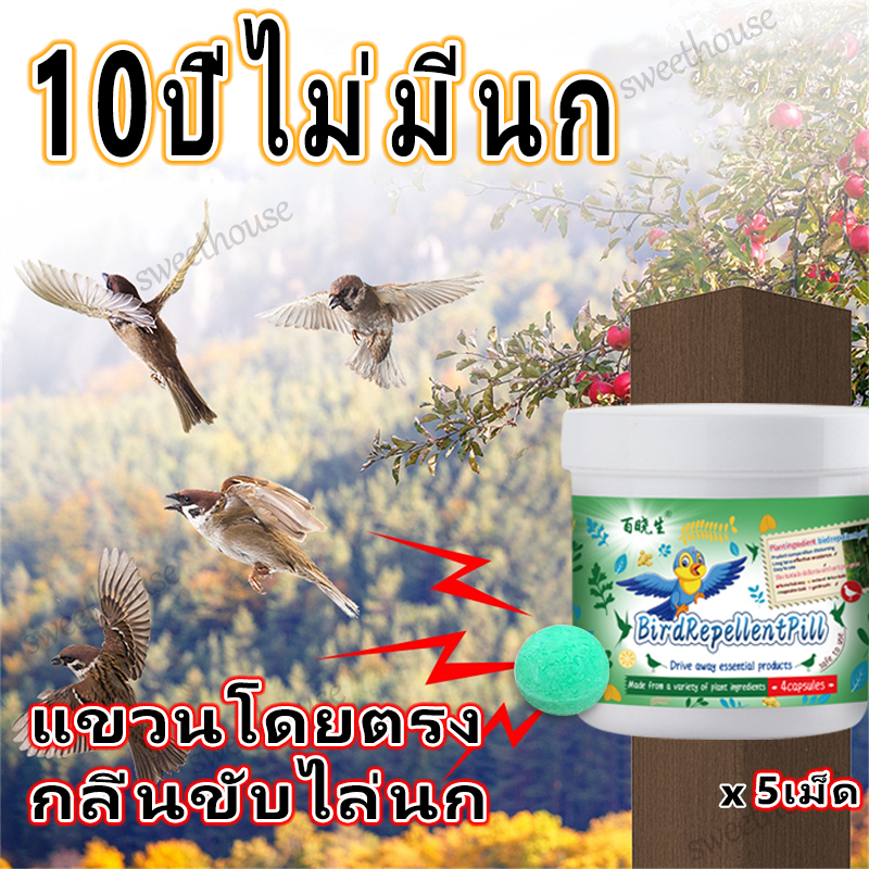 🐦10000เมตรไม่มีนก ก้อนไล่นกพิราบ ที่ไล่นกพิราบ ก้อนไล่นก การกำจัดที่มีประสิทธิภาพและยาวนาน ใช้ที่บ้านได้
