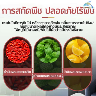 สเปรย์ไล่หนู 750ml มีผลคุ้มครองนาน 365 วัน มีฟังก์ชั่นทั้งการขับไล่และการป้องกัน จิ้งจก ตุ๊กแก ปราศจาก สารเคมีอันตราย