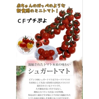 เมล็ดพันธุ์มะเขือเทศ phuchipuyo japan sweet (ชุด20เมล็ด)