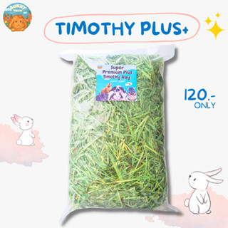 🌟(โค้ด live ลด40%) หญ้าทิมโมธีร่อนฝุ่นเกรดพลัส + (1 กิโล) ก้…
