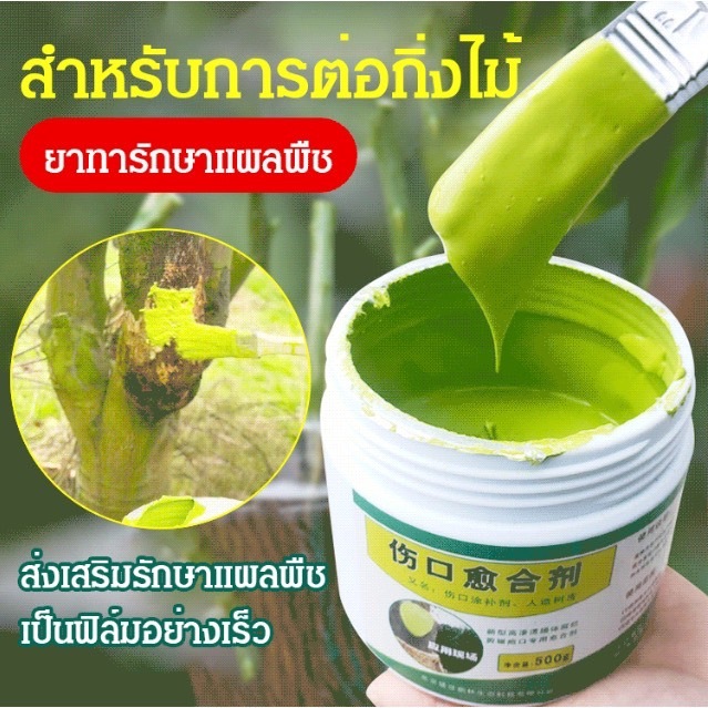 ยาทารักษาแผลพืช ครีมบำรุงต้นไม้ สารสกัดจากพืช 150กรัม สารเคลือบต้นไม้ รักษาแผล เชื้อรา รับประกันของแท้100%