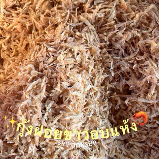 กุ้งฝอยขาวอบแห้งไซส์ M (กลาง) แบ่งขาย 500g รูปที่ 2