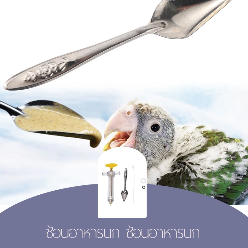 ช้อนป้อนลูกนก ช้อนป้อนอาหารนก ช้อนป้อน ที่ให้อาหารนก สลิงป้อนนก ที่ป้อนลูกนก นกเล็ก อุปกรณ์ป้อนนก