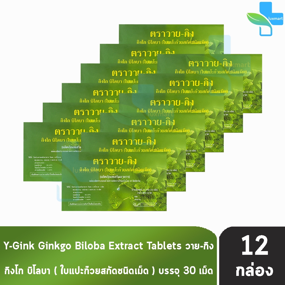 Y-Gink Ginkgo Biloba วาย กิง ใบแป๊ะก๊วยสกัด 30 เม็ด [12 กล่อง] HH 7201 ตัวช่วยคนทำงานและวัยเรียน