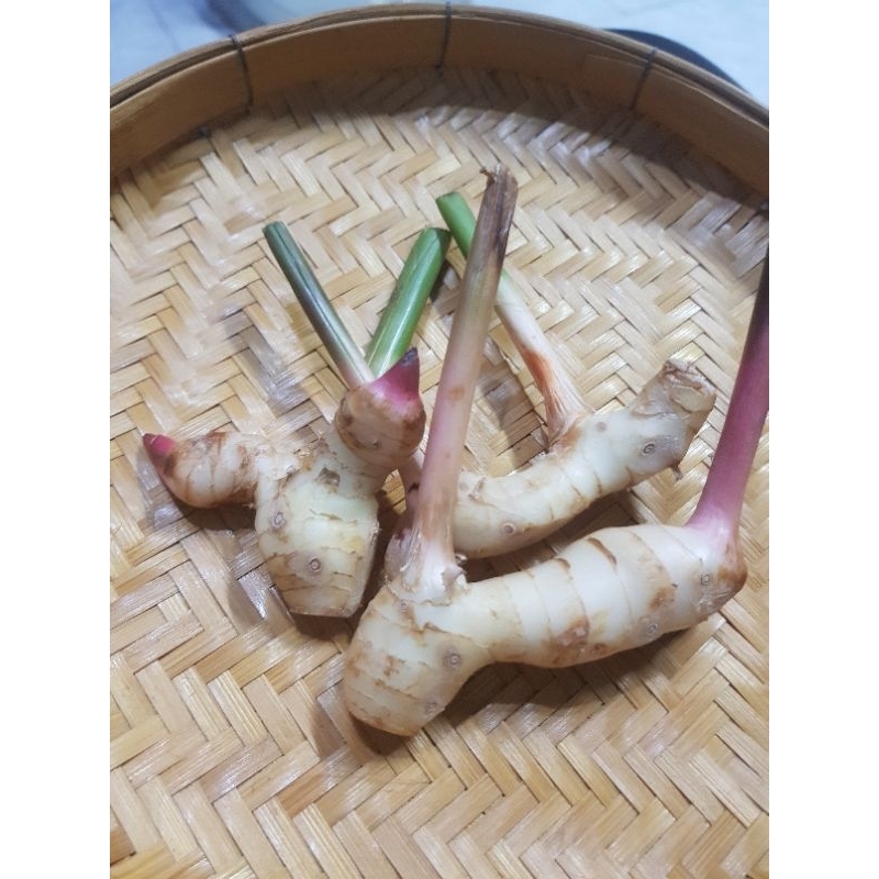 ข่าสำหรับปรุงแกง น้ำหนัก 200 กรัม