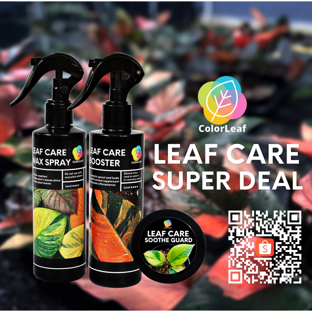 Color Leaf : LEAF CARE SUPER DEAL ชุดผลิตภัณฑ์ ทำความสะอาดเคลือบเงาใบไม้ บำรุงเร่งหน่อ และ ปูนทาแผลป้องกันเชื่อรา