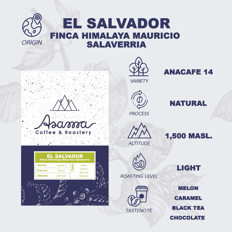 เมล็ดกาแฟคั่วอ่อน El Salvador Finca Himalaya Mauricio Salaverria 200 กรัม