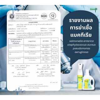Maxp Germ Killer 1000 ml สเปรย์ฆ่าเชื้อโรคขนาดใหญ่ ไร้สารโลหะหนัก ฆ่าเชื้อไวรัส แบคทีเรีย เชื้อรา และกำจัดกลิ่น