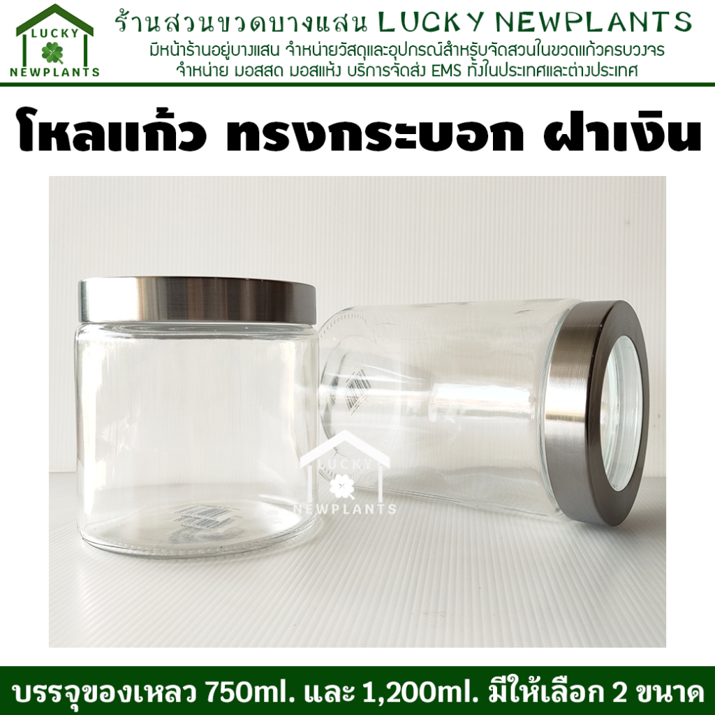 โหลแก้วทรงกระบอก ฝาสแตนเลส 3,4 ลิตร ขนาดกลาง