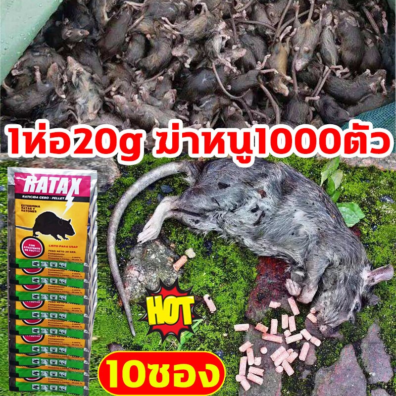 หนูหายหมดแล้ว ยาเบื่อหนู ตายแห้ง ไม่เหม็น ใช้ครั้งเดียว ไม่มีหนูทั้งปี ยากำจัดหนู เหยื่อกำจัดหนู ไล่หนู ยาเบื่อหนูแห้ง