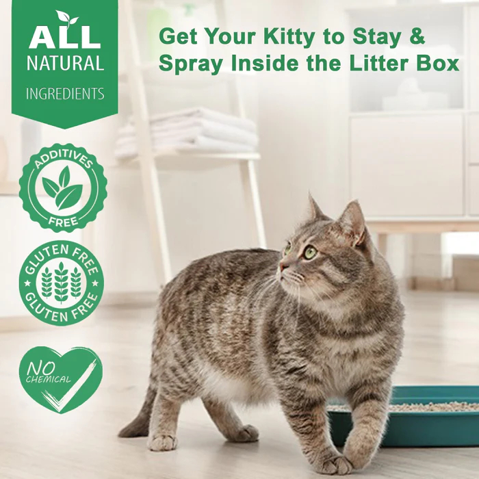 [20 เม็ด ส่งฟรี ] พร้อมส่ง วิตามินแมว ฉี่ไม่ออก เบ่งฉี่ ฉี่น้อย เสริมระบบทางเดินปัสสาวะ Exp.01/29 Urinary tract & Kidney - รูปที่ 4