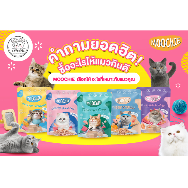 Moochie อาหารเปียกสำหรับน้องแมว [1 โหล]