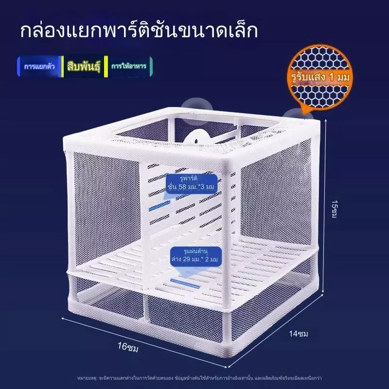 ตาข่ายแยกปลา 4 ช่อง ขนาด 26x15x15 cm thumbnail 7