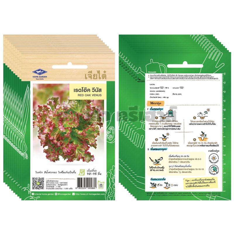 เมล็ดเรดโอ๊ค วีนัส รหัส KTA1328