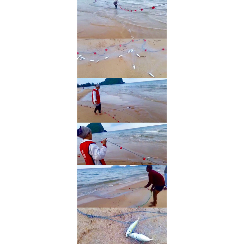 อวนลากชายหาด อวนปลากระบอกปลาทราย📌ติดทุ่นใหญ่ ตะกั่วเม็ด แบบสำเร็จพร้อมใช้งาน