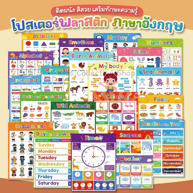 โปสเตอร์พลาสติก สอนภาษาอังกฤษ มี 20 แบบ ขนาด A4 สีสันสดใสผิวกันน้ำ ใช้เป็นสื่อการเรียนการสอนให้เด็กๆ ราคา ถูกที่สุด ดีลบีเคเค รูปภาพหลัก