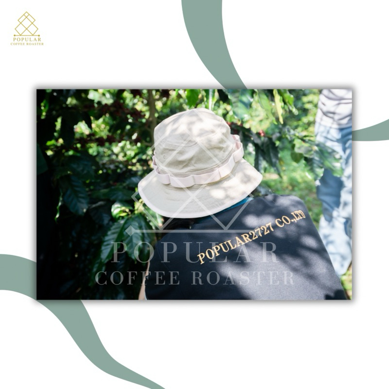 รูปภาพ 5