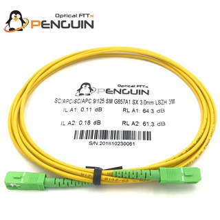 SC/APC-SC/APC Patch Cord 3.0mm OS2 9/125 μm