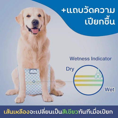 โอบิทอมแพด ผ้าอ้อมสุนัขตัวผู้ มีแถบวัดฉี่ ปรับเอวได้ thumbnail 5