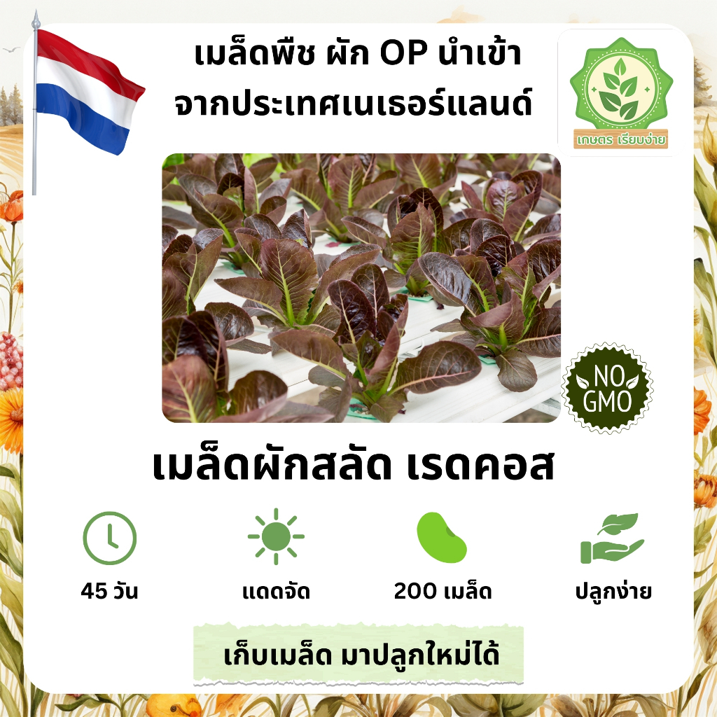 เมล็ดพันธุ์สลัดรวมผักต่างๆ เรดคอส เรดครอส เลดคอสเมล็ดสลัดนอก นำเข้าต่างๆ พันธุ์ OP บรรจุ 200 เมล็ด