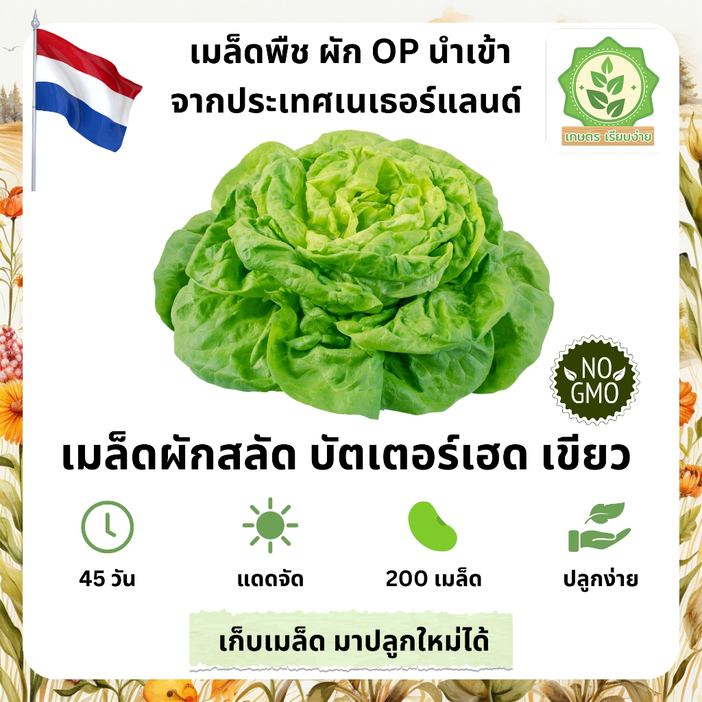เมล็ดพันธุ์สลัดรวมผักต่างๆ บัตเตอร์เฮด เขียว เมล็ดสลัดนอก นำเข้าต่างๆ พันธุ์ OP บรรจุ 200 เมล็ด