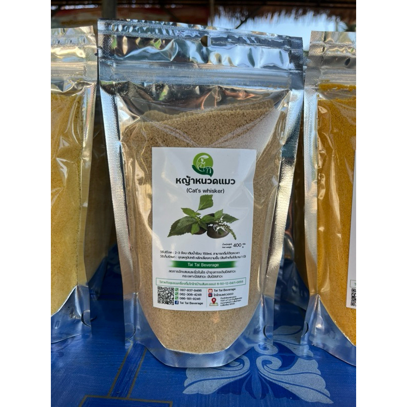 สมุนไพรหญ้าหนวดแมว Kidney Tea Plant
