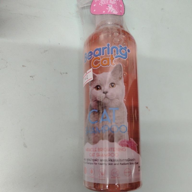 bearing cat. shampoo