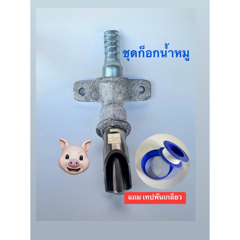 ชุดก๊อกน้ำหมู​ สแตนเลส แถมเทปพันเกลียว