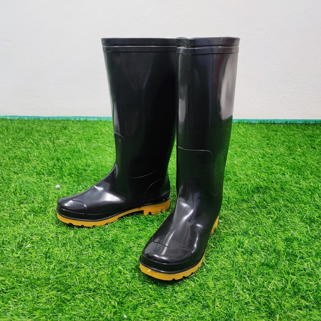 รูปภาพ 8