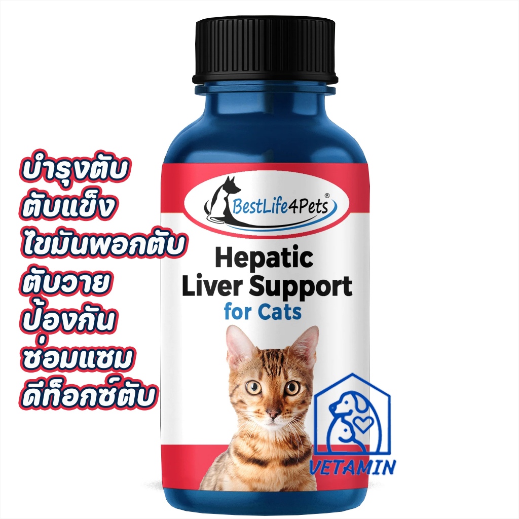 พร้อมส่ง วิตามินสำหรับแมว บำรุงตับ ฟื้นฟูตับ ป้องกันโรค ดีท็อกซ์ตับ แบบแบ่ง Exp.12/26