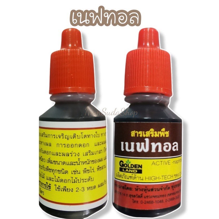 เนฟทอล ยาขั้วเหนียว 10cc