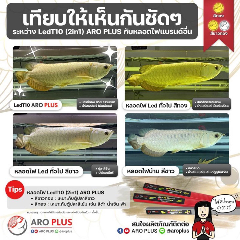 หลอดไฟ LED T10  plus 2in1 แบบ 4 แถว สีขาว-ทอง - รูปที่ 3