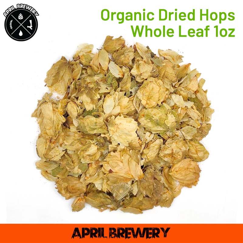 Organic Dried Hops Whole Leaf 1oz (28g) ฮอปทำเบียร์ ดอกฮอปส์ ทำเบียร์ Hops for Homebrew Beer ฮอปส์แห้ง สำหรับ หมักเบียร์