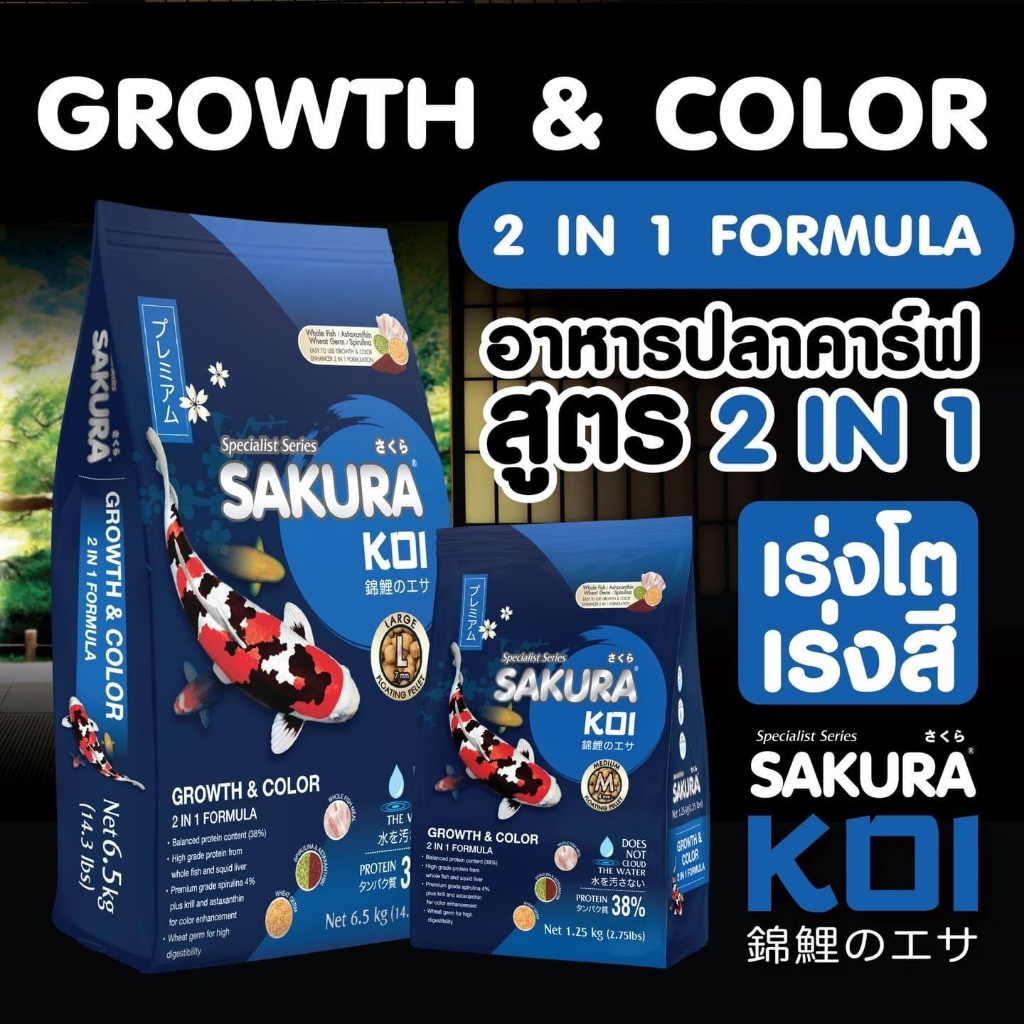 1 แถม 1 *** อาหารปลาคาร์ฟ Sakura Koi (ซากุระ โค่ย) สูตรเร่งโต&เร่งสี แบบ 2in1