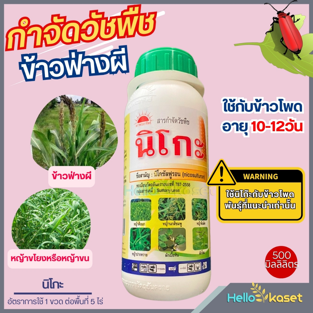 นิโกะ 500ml. นิโคซัลฟูรอน กำจัดวัชพืช หญ้าในไร่ข้าวโพด ข้าวฟ่างผี