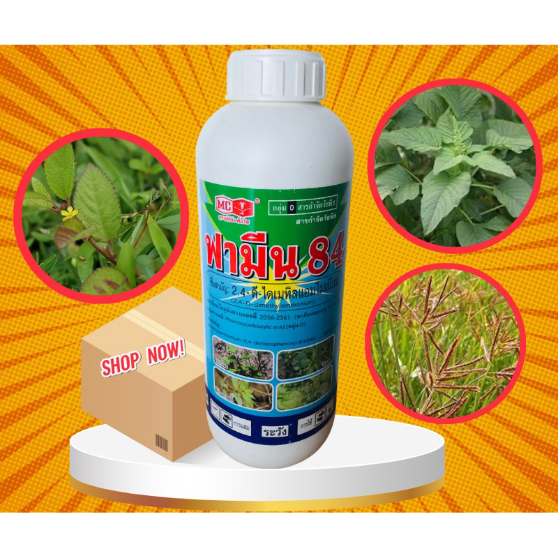 ฟามีน 84 (2,4-ดีไดเมทิลแอมโมเนียม)