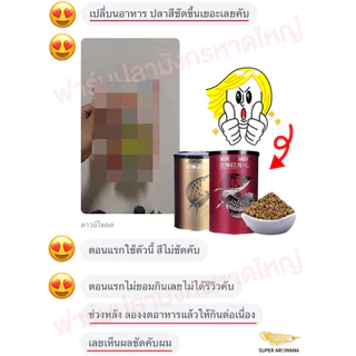 [แท้100%] BOX&WATER โปรตีนสูง 46% ช่วยเร่งสี มีวิตามิน นำเข้าเกรดพรีเมี่ยม อาหารเม็ดปลามังกร