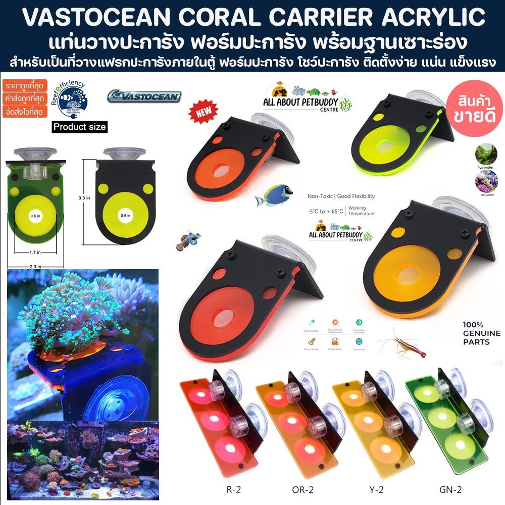 Vastocean แท่นวางปะการัง แฟรกปะการัง Coral Frag Rack Fluorescent Coral Brackets Holder Marine Reef Aquarium ปลาทะเล ปลา