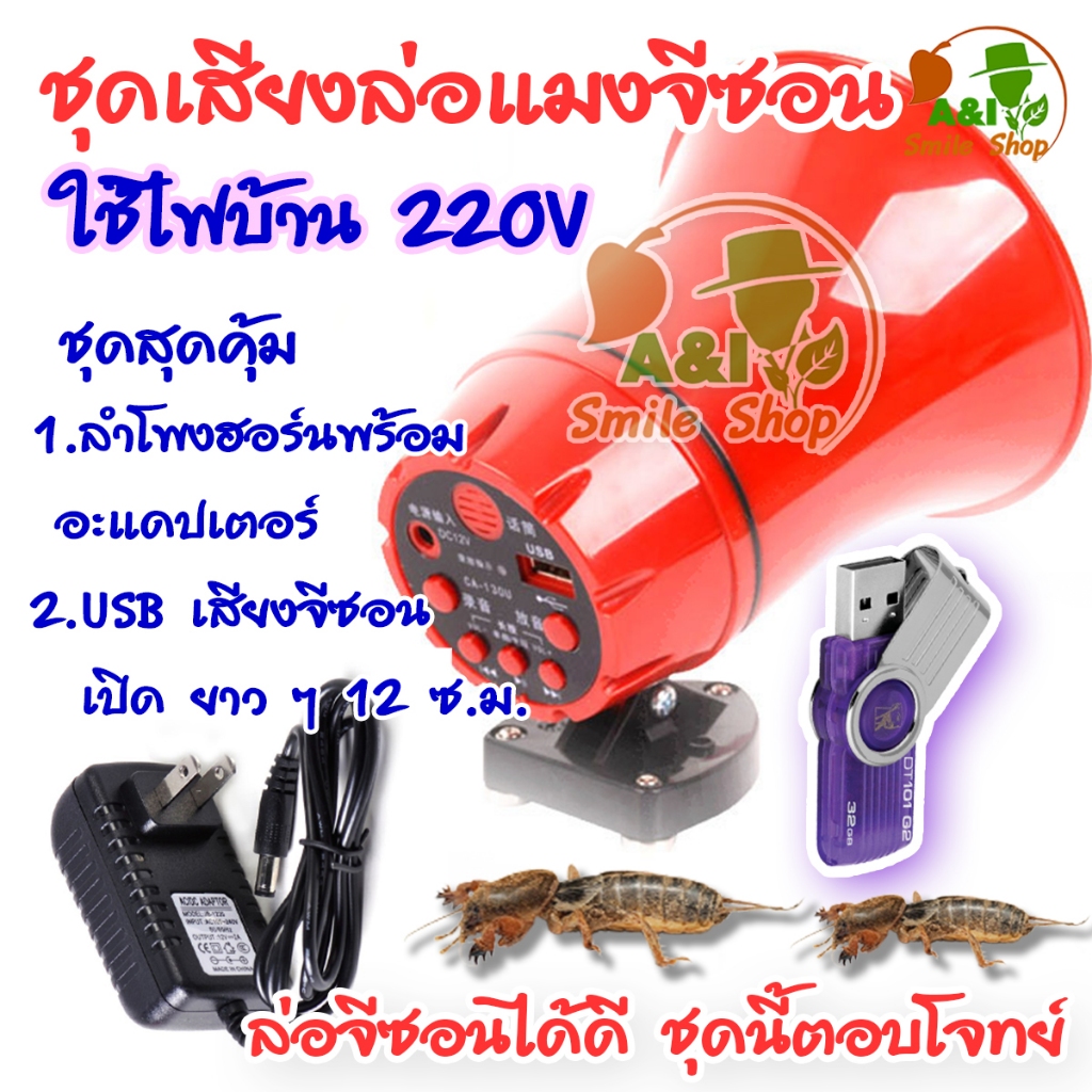 รูปภาพ 5