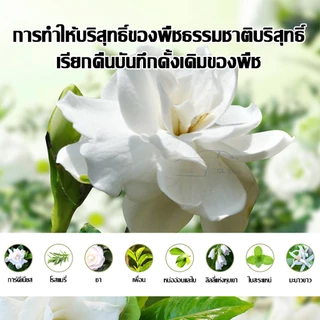 เครื่องพ่น ฟอกอากาศอัตโนมัติ แบบชาร์จไฟได้ สําหรับทุกที่ หอมติดทนนาน พ่นไอน้ํา ขนาดเล็กพกพาสะดวก