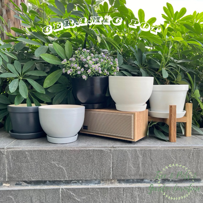 กระถางเซรามิคปลูกต้นไม้พร้อมจานรอง ขนาดกระถางปากกว้าง 5.5“ สูง 4.5” มี 2 แบบ 3 สีให้เลือกค่ะ