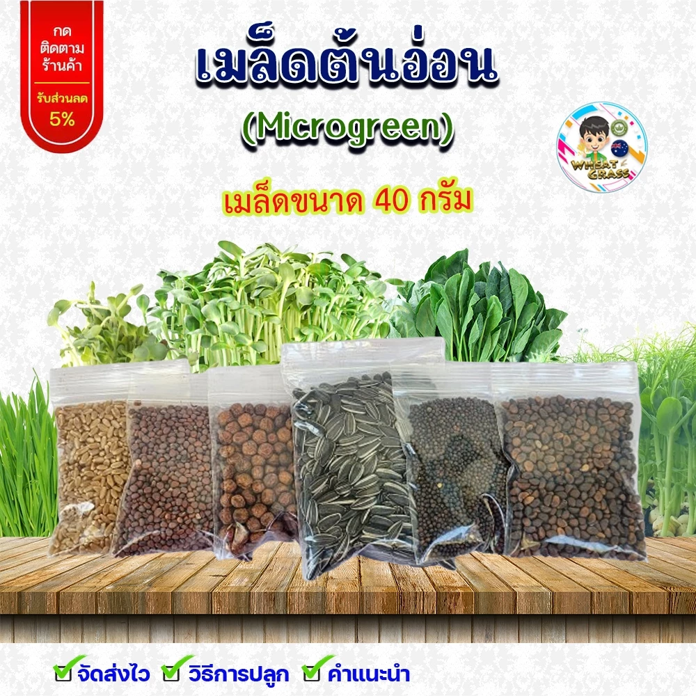 เมล็ดต้นอ่อนไมโครกรีน (Microgreen) 40 กรัม ทานตะวัน ผักบุ้งเรียวไผ่ ไควาเระ โตเหมี่ยว คะน้า