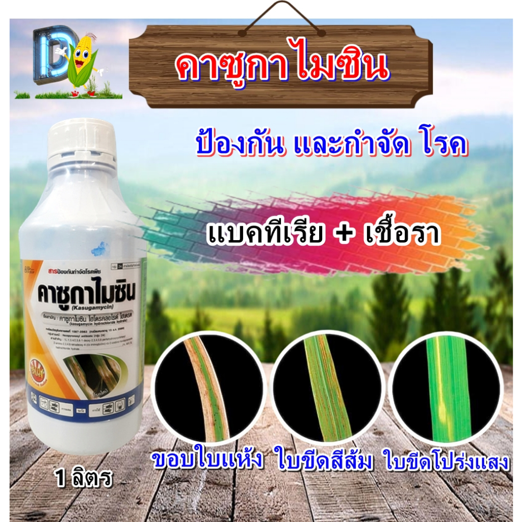 คาซูก้าไมซิน 1 ลิตร ตราซันคร๊อพ ป้องกันและกำจัดโรคใบขีดสีส้ม ขอบใบแห้ง ในข้าว ที่เกิดจากเชื้อแบคทีเรีย