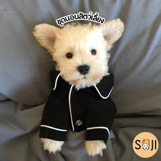 พร้อมส่ง😻🐶 ชุดนอนสัตว์เลี้ยง สุนัข แมว เสื้อหมา เสื้อแมว ชุด…