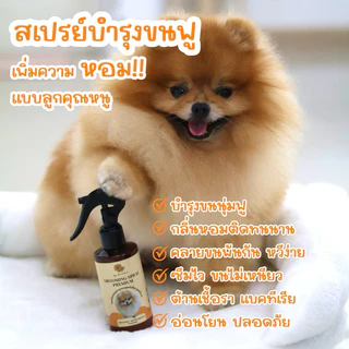 สเปรย์บำรุงขนน้ำนมหอมมาก สูตรใหม่ซึมไว ขนไม่เหนียว หอมนาน ลัคชู ลูกคุณหนูสุดๆ
